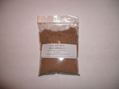 Calaguala Kalawalla 4:1 Powdered Extract Polypodium Leucotomos 50 Grams by Blue Palm Nutraceuticals