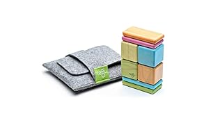 Tegu 8 Piece Pocket Pouch Magnetic Wooden Block Set, Tints