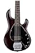 Sterling by Music Man StingRay Ray5 Bass Guitar in Walnut Satin, 5-String