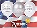 30PC Biodegradable Remembrance Balloons: White & Silver Personalizable Funeral Balloons for Balloon Releases & Sympathy Gifts | Created/Sold by AMERIBA, a USA company (Variety Pk White, Black Writing)