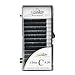 LASHVIEW C Curl12mm 0.20 Thickness Silk Fake Eyelash Extensions Thick Lashes Natural Individual Semi-Permanent Eyelashes Application for Professional Salon Use