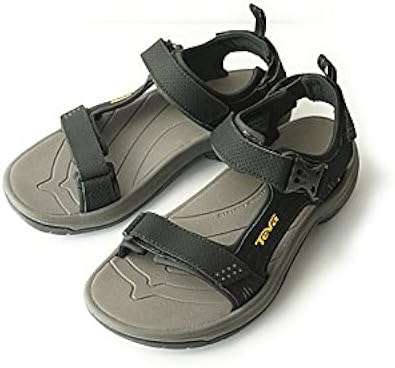 teva holliway