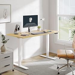 FLEXISPOT E6 Dual Motor 3 Stages Standing Desk