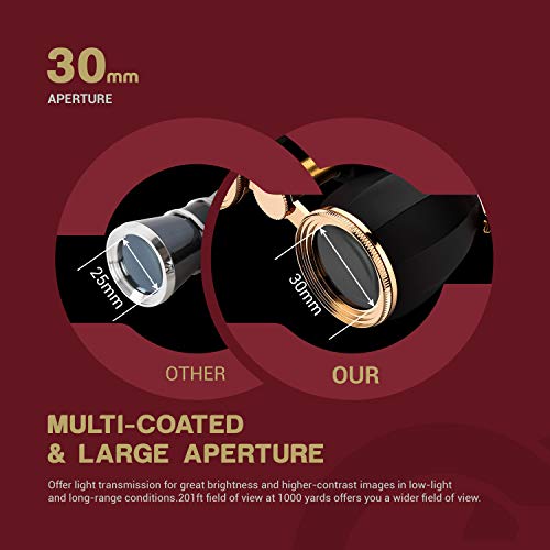 1 ESSLNB+Glasses+Binoculars+Concerts+Removable