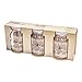 Mini Mason Jars by Tim Holtz Idea-ology, 4 x 2.25 Inches, Pack of 3, TH93202