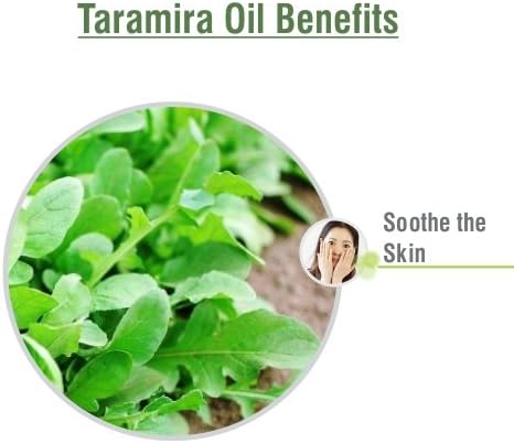 Taramira Eruca Sativa Essential Oil 100 Pure Natural Undiluted Uncut Oil Best For Aromatherapy Therapeutic Grade 15ml Beauty Amazon Com Taramira Eruca Sativa Essential Oil 100 Pure Natural Undiluted Uncut Oil Best For Aromatherapy Therapeutic Grade 15ml Beauty Amazon Com