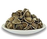 100 Moringa Seed. The Best Quality
