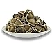 100 Moringa Seed. The Best Quality