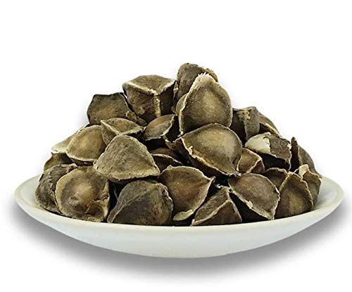 100 Moringa Seed. The Best Quality