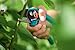 Gardena 8788 Comfort Vario Hand Pruner With 3/4-Inch Cut
