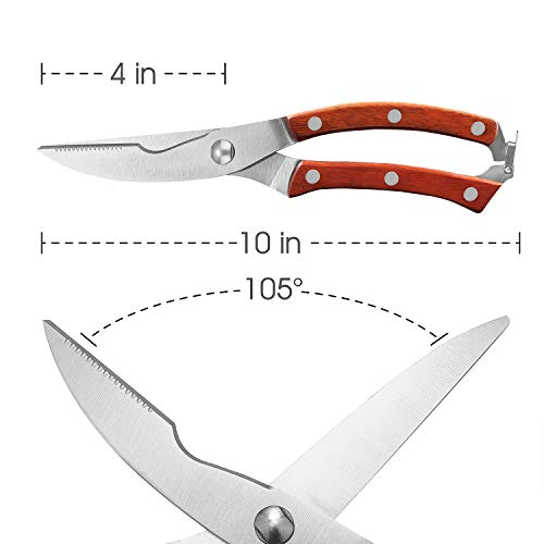 Heavy Duty Stainless Steel Kitchen Shears With Spring Loaded Wood Handle And Professional Blade Poultry scissors For Spatchcock Turkey Lobster And Bone By Proshear (Red) - Thumbnail 7