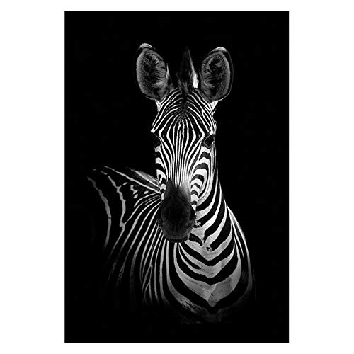 Shukqueen Oil Painting by Number, DIY Oil Painting Kit for Beginner, Adults, Home Decoration, Black and White Zebra, 16X20 Inch, Frameless