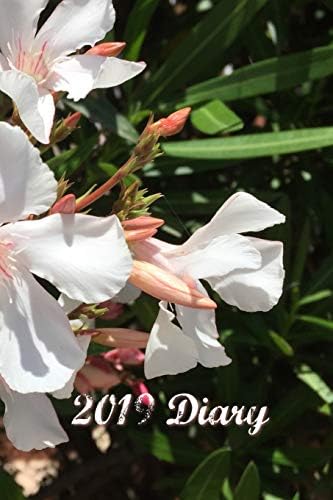 2019 Diary: Nerium Oleander Page-a-Day Planner (6"x9" 390 pages A5) (Flower Diary 2019)