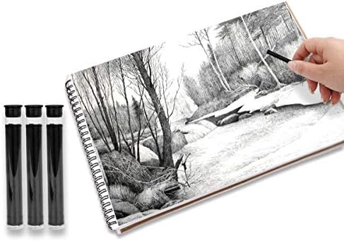 木炭 デッサン 画材 鉛筆 替え芯 0 4 木炭筆 芯 画用木炭 黒 硬 中 風景 軟 オープニング 大放出セール 人物 初心者 美術 24本入り 大人 スケッチ 学生 動物 絵具 速写