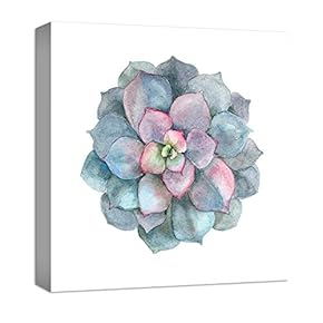 Blue And Pink Succulent - Canvas Art