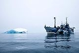 Sea Shepherd: 1977-2017 by 