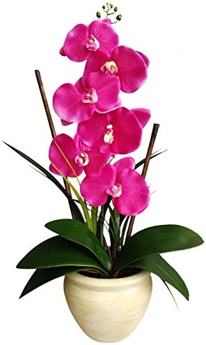 Homeseasons LED Pre Lit Single Stem Phalaenopsis Arrangement-Battery Operated Lighted Artificial Orchid Plant(Purple)