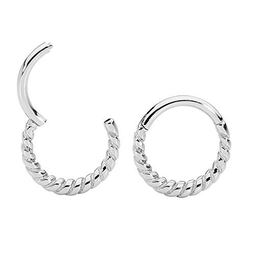 365 Sleepers316L Surgical Steel 16G Twist Hinged Segment Ring Helix Tragus Septum Nose Body Piercing Jewelry