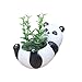 Succulent Pots,Cute Animal Shaped Air Plant Holder Flower Planters-Plants Not in Included (Panda)