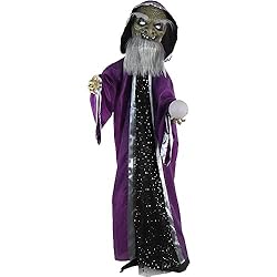 Haunted Hill Farm Animatronic Talking Wizard with