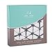 aden + anais silky soft stroller blanket, pebble shibori