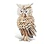 Puzzled 3D Puzzle Owl Wood Craft Construction Model Kit, Fun Unique & Educational DIY Wooden Toy Assemble Model Unfinished Crafting Hobby Puzzle to Build & Paint for Decoration 146 Pieces Pack