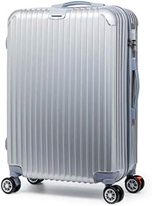 Travel Luggage，Large Super Lightweight ABS Durable Hard Shell Suitcase with 4 Wheels Carry On Cabin Hand Travel Bag (Color : Silver, Size : 22 inches)