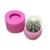 Gereton Silicone Mold for 3D Succulent Plant Flower Pot,Gypsum Cement Fleshy Plant Flower Pot Silicone Mould Bonsai,DIY Polyhedron Cactus Muti-Meat Flower Planter Mould