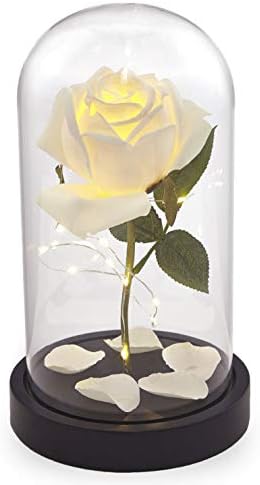 Homeseasons Enchanted Rose,Beauty and The Beast Red Rose, Pre-Lit Silk Rose in Glass Dome (White)
