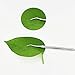 Ingrown Toenails Nails Corrector Cleaning Tools for Pedicure Manicure Hook