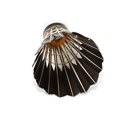 WHIZZ Badminton Shuttlecocks,12-Pack Goose Feather Badminton Birdies Balls with Great Stability and Durability for Indoor/Outdoor Sport Training Games, Black