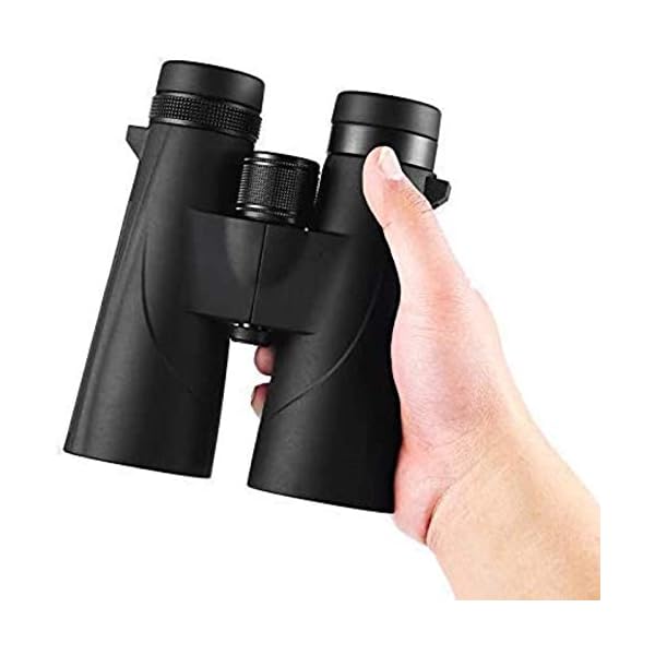 Fernglas, Teleskop 10X50 Hd Fernglas Bak4 High Definition Stickstoff Wasserdichtes Fernglas für den Innen- und… – Bild 6