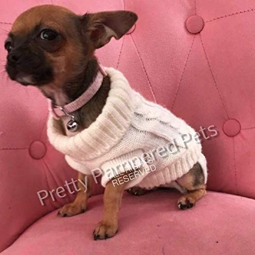 chihuahua clothes uk