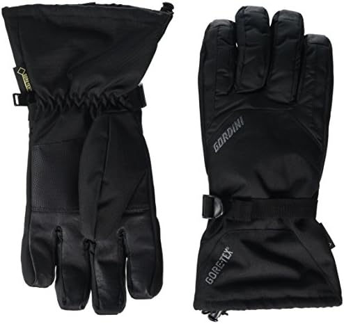 Amazon.com : Dakine Leather Titan Gore-TEX Gloves - Mulled Basil