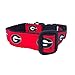 NCAA Georgia Bulldogs Dog Collar (Team Color, Large)