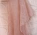 ALE14 Lace Fabric Eyelash Chantilly Floral Bridal/Wedding Dress Flower Table Cloth DIY Crafts Scallop Trim Applique Curtain 300cm x 23cm (Baby Pink)