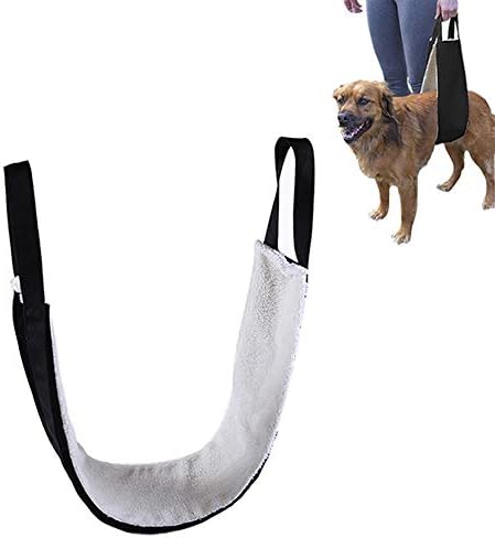 hip sling for dog