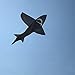 In the Breeze 3D Shark Kite, 4-Feet