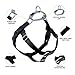 2 Hounds Design Freedom No Pull Dog Harness | Comfortable Control for Easy Walking | Adjustable Dog Harness | Small, Medium & Large Dogs | Made in USA | Solid Colors | 1