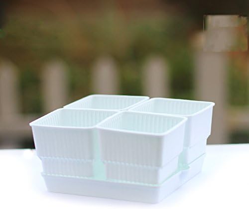 4 Pack Succulent Planter Pots Indoor Cactus Planter Pots Black White with Saucer Tray (4 White Pots with 1 White Tray)