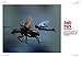 Ant-man and The Wasp - The Official Movie Special Book (MARVEL)