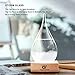 G GGPOWER Storm Glass Weather Stations Water Drop Weather Predictor Creative Forecast Nordic Style Decorative Weather Glass (Mini)