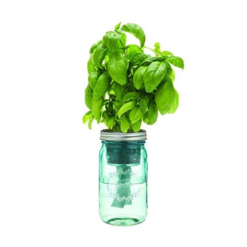 Kitchen Herb Kit – Three Self-watering Indoor Planters with Organic Basil, Organic Parsley, and Non-gmo Mint Seeds.