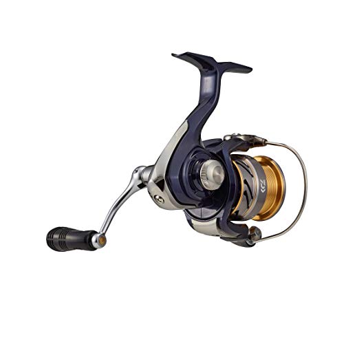 DAIWA　CREST　リール ２点セット　LT4000-CXH LT2000 DAIWA 20 Crest Lt 2000 Spinning Reel | eBay
