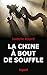 La Chine à bout de souffle : Le fardeau de la démographie by 