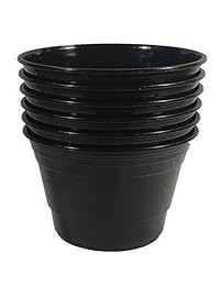 Gran Copa, Negro