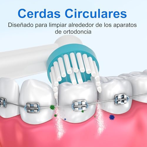 16 Recambios Cepillos Ortho Care, Compatibles con los Cepillo Electrico Oral B, Para una Limpieza Precisa Alrededor de los Aparatos de Ortodoncia.