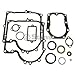 Stens 480-149 Gasket Set, Briggs and Stratton 494241