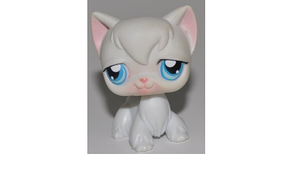 lps longhair