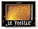 Le fossile by 
